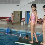 Wie die Wasserratten